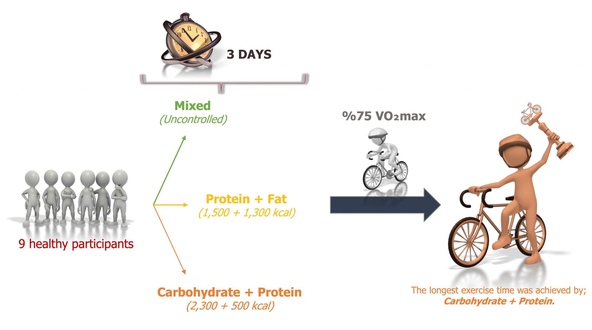 What Is Carbohydrate Loading Egzersizde Beslenme what-is-carbohydrate-loading-egzersizde-beslenme